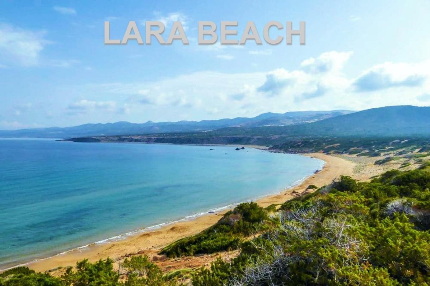 Azzurro Holiday Villas Peyia Extérieur photo
